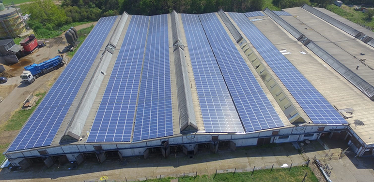 Gesamt Luftaufnahme von Solarmodulen liegend auf einem Industrieflachdach.