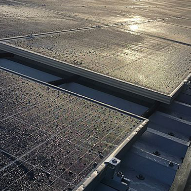 Solarmodule mit Tau benetzt und Unterkonstruktion aus Metall auf einem Flachdach.