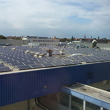 Photovoltaikanlage auf einem Industriehallenflachdach. Die Module sind ordentlich verlegt.